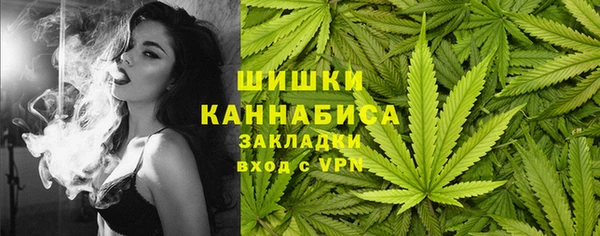 дурь Пестово