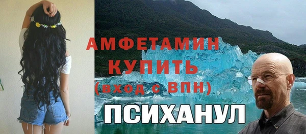 дурь Пестово